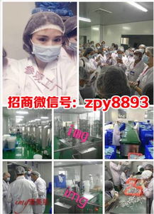 愛美肌、悅素堂與愛奈兒產品體驗及燕兒團隊代理模式解析